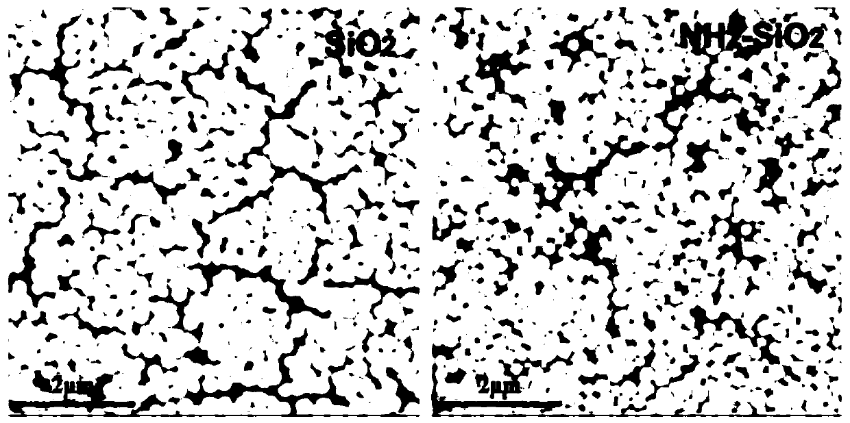 Tough and adherent wet tissue hydrogel dressing box and preparation method and application thereof