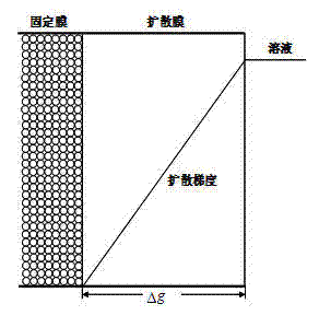 Method for acquiring two-dimensional distribution of sediment dissolved reactive phosphorus (DRP)