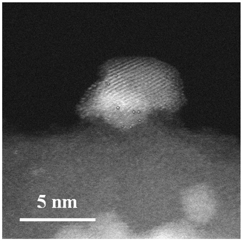 Preparation method and application of alloy monatomic catalyst