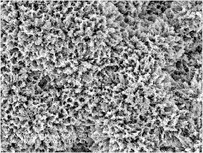 Preparation method of carbon and nitrogen modified nano-titanium dioxide thin film with visible light activity