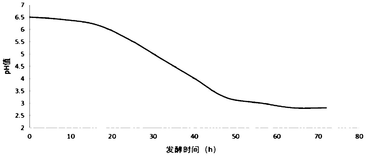 Probiotic fermented golden sour soup seasoning and preparation method thereof