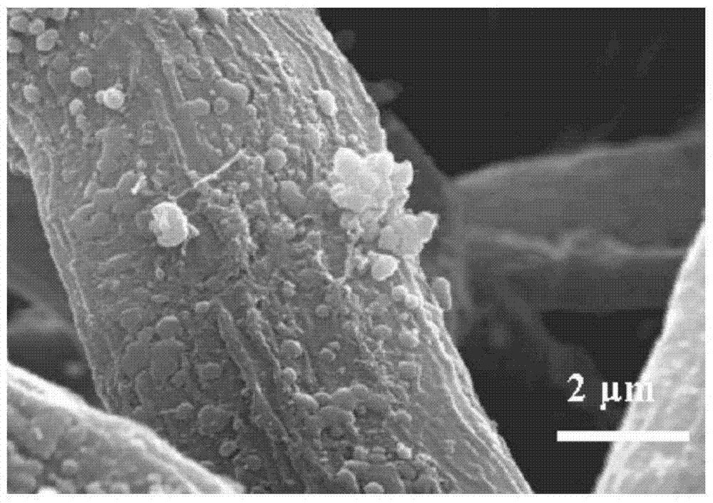 an attached sns  <sub>2</sub> Preparation method of non-woven fabric and its application