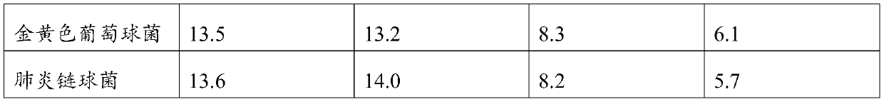 Traditional Chinese medicine protection layer as well as preparation method and application thereof