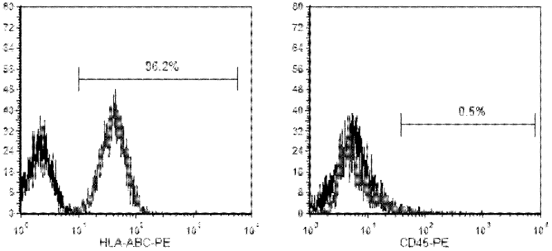 Mesenchymal stem cells, as well as preparation method and application thereof