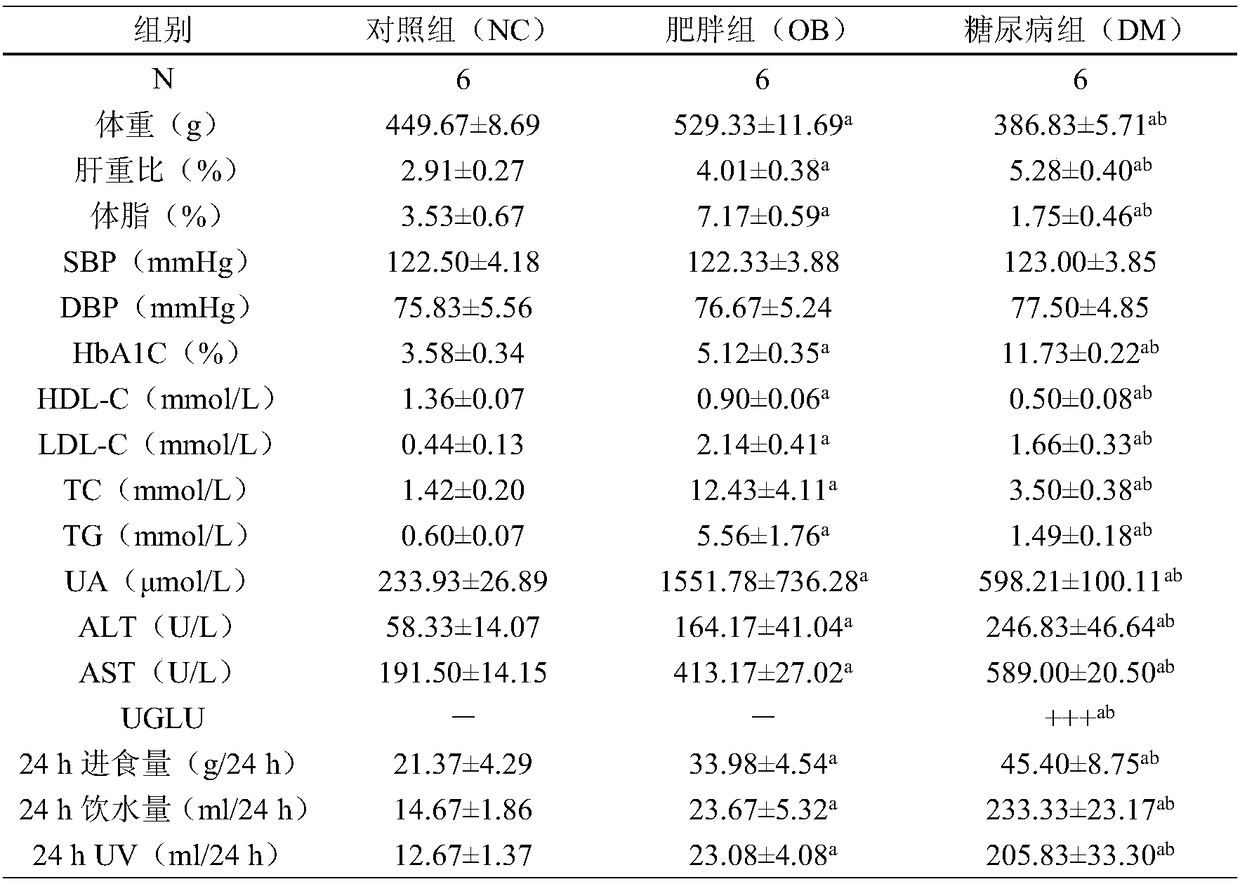 Method for establishing SD mouse fat and diabetes research model through diet and STZ induction