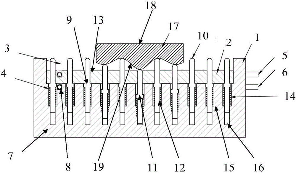 Shape Adjusting Tool