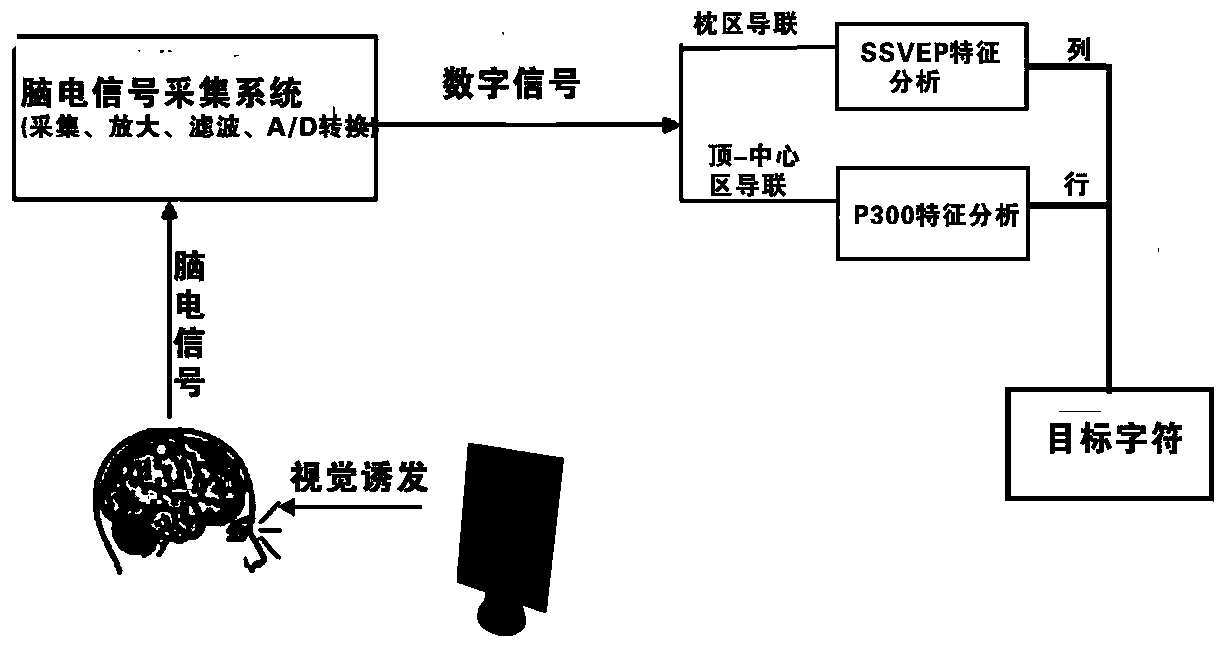 Combined brain-computer interface method and device based on SSVEP (Steady-State Visually Evoked Potentials) and P300