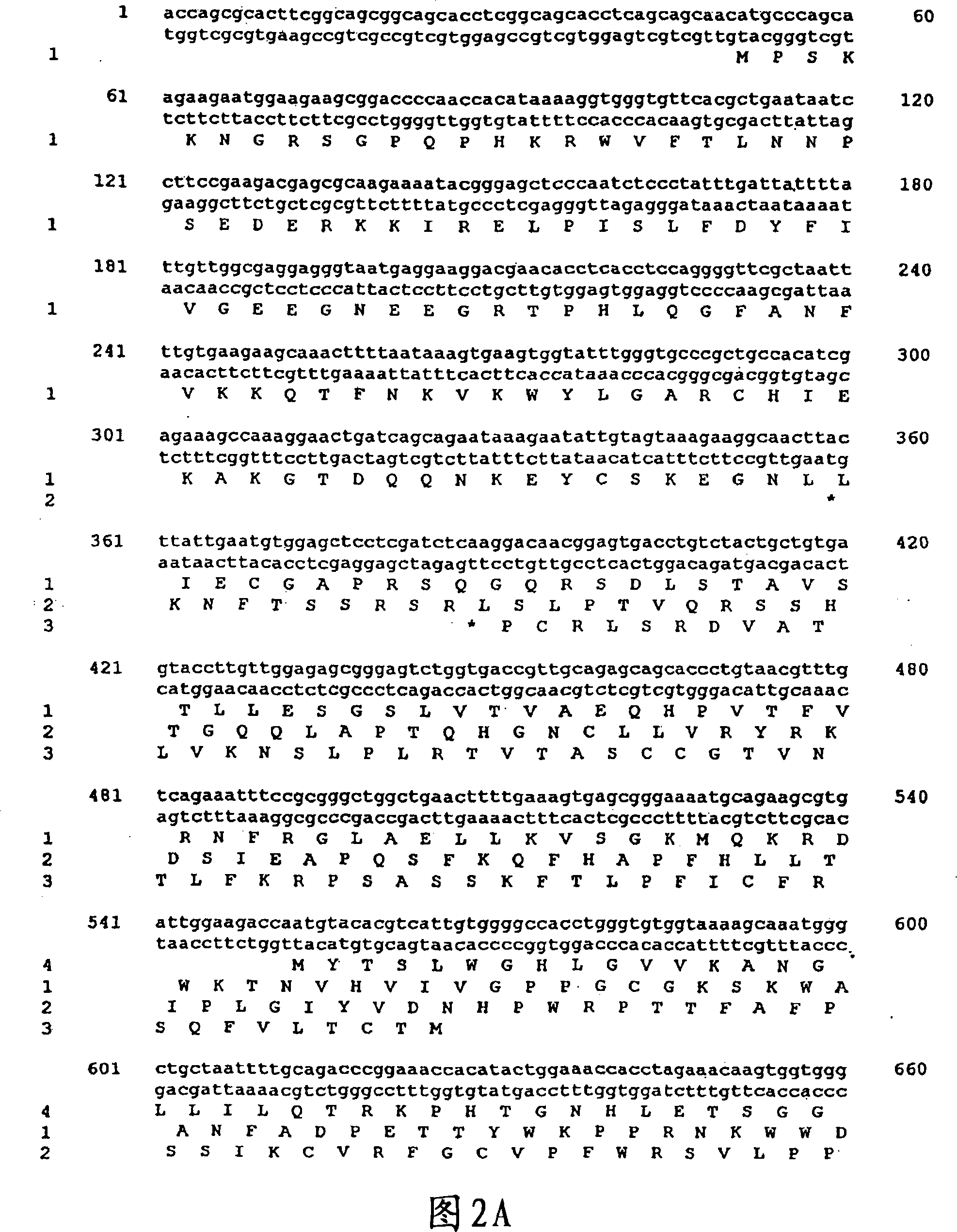 Porcine circovirus and helicobacter combination vaccines and methods of use