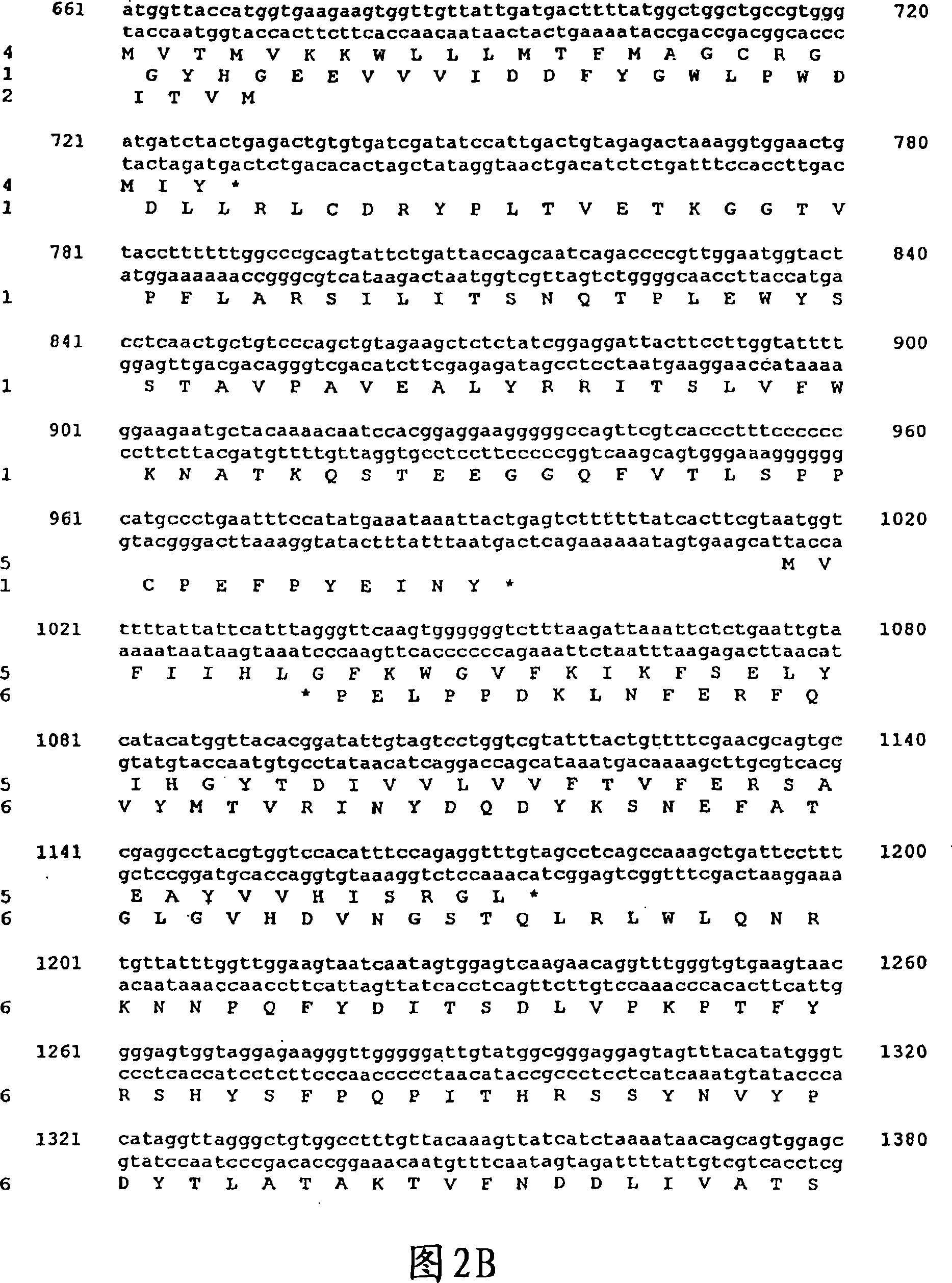 Porcine circovirus and helicobacter combination vaccines and methods of use