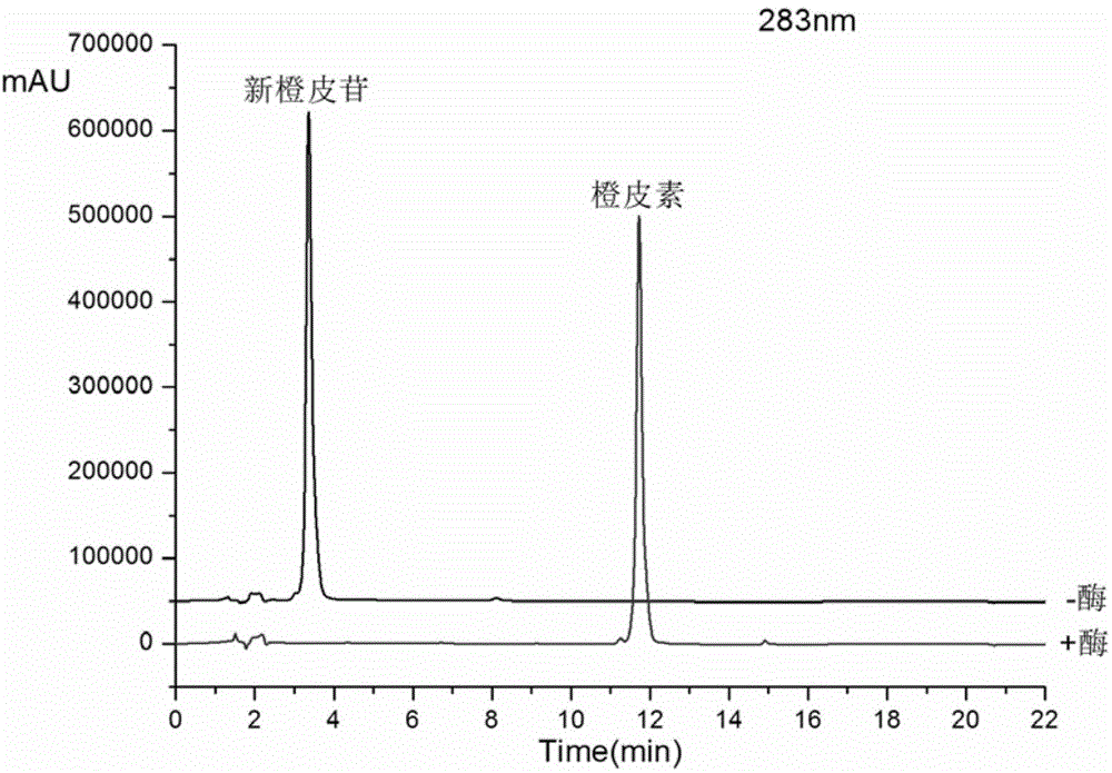 Method for preparing hesperetin from enzymatic hydrolysis neohesperidin or hesperidin