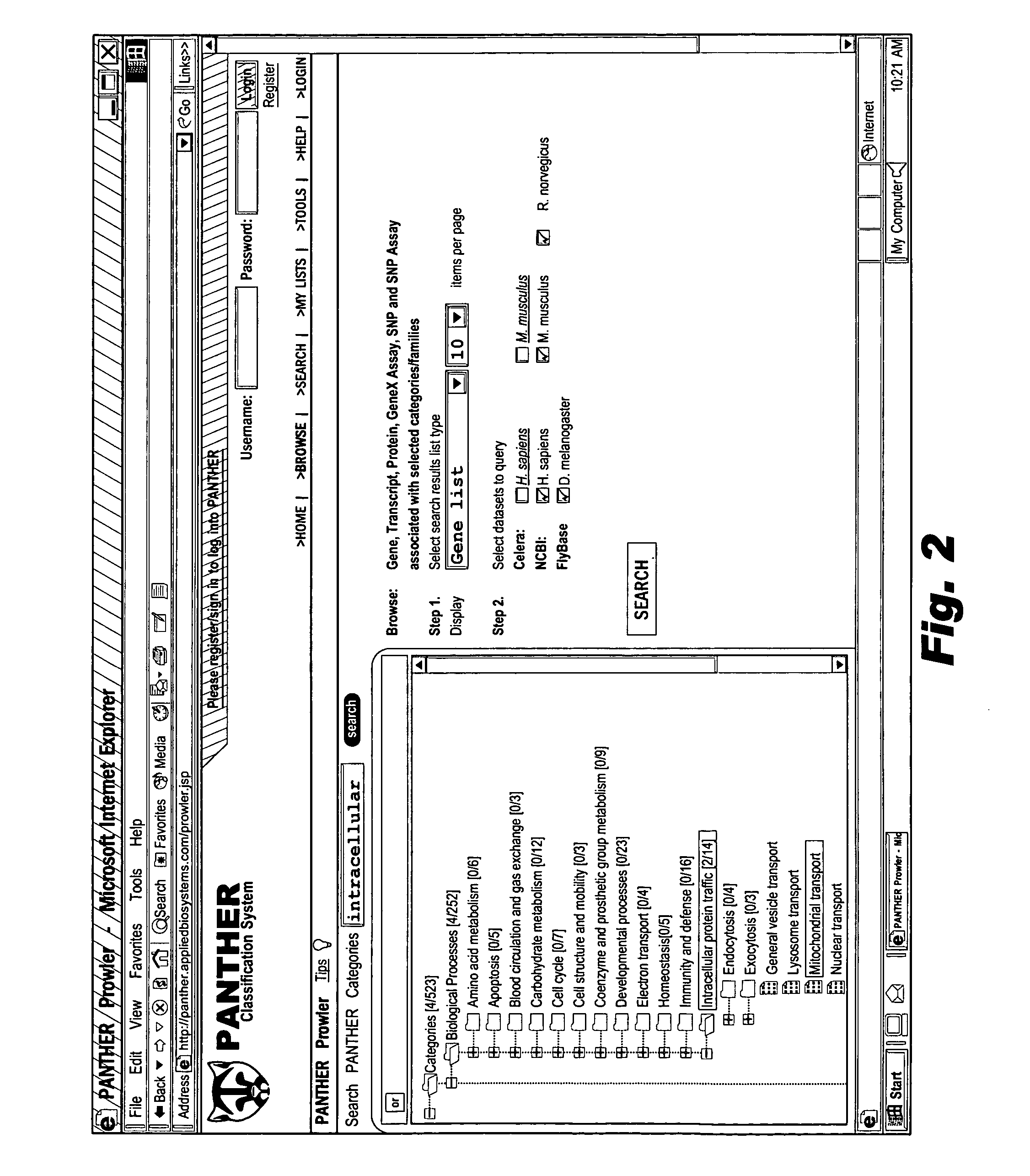 Browsable database for biological use