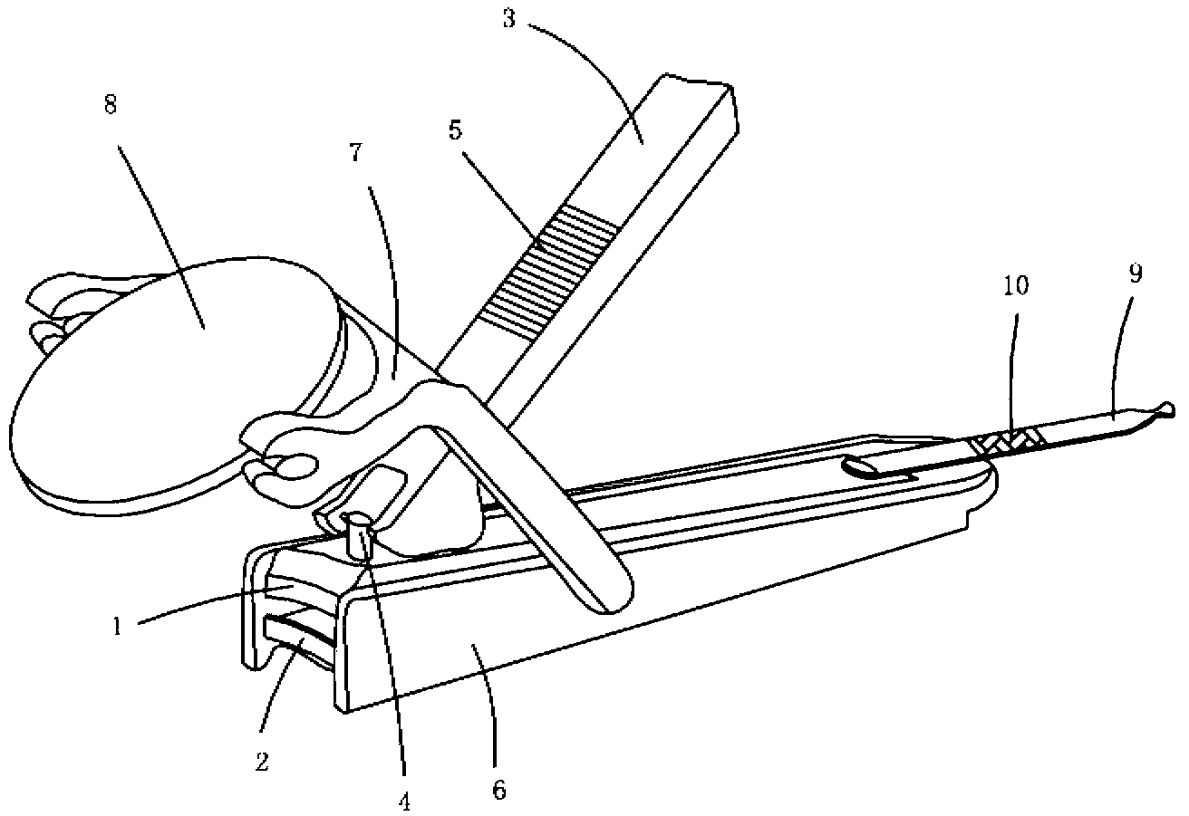 Nail scissors with magnifying glass