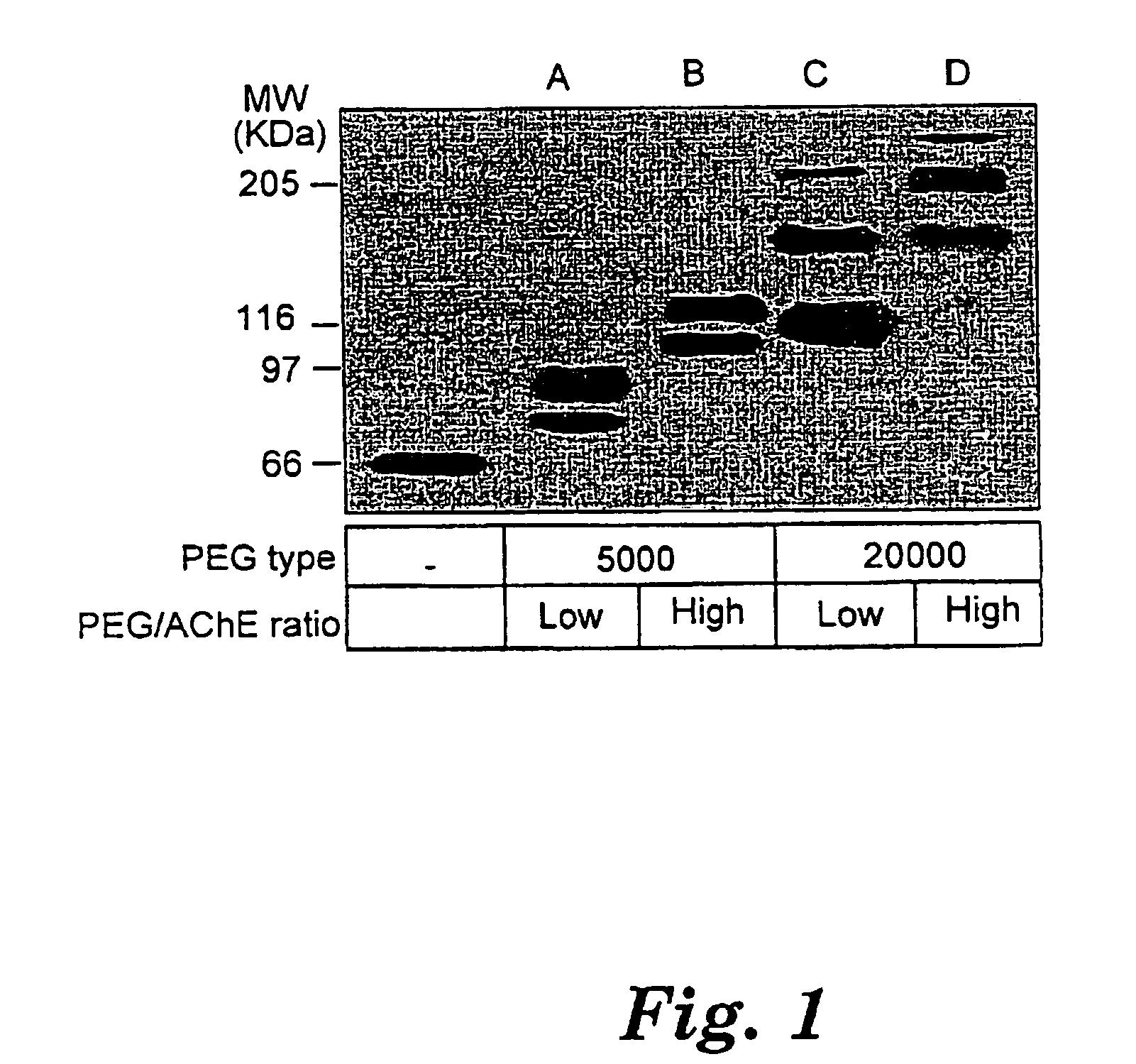 Uses of chemically-modified cholinesterases for detoxification of organophosphorous compounds