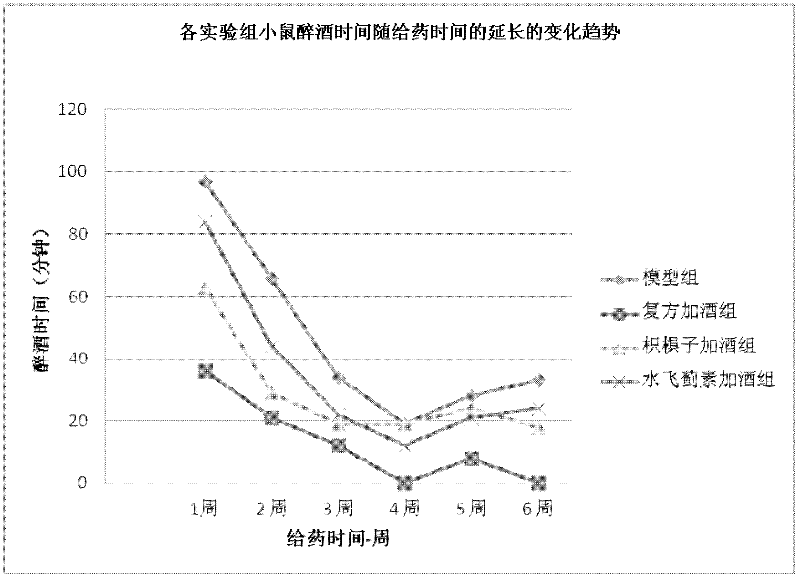 Novel natural herbal compound composition with sobering and liver protection effects and application thereof