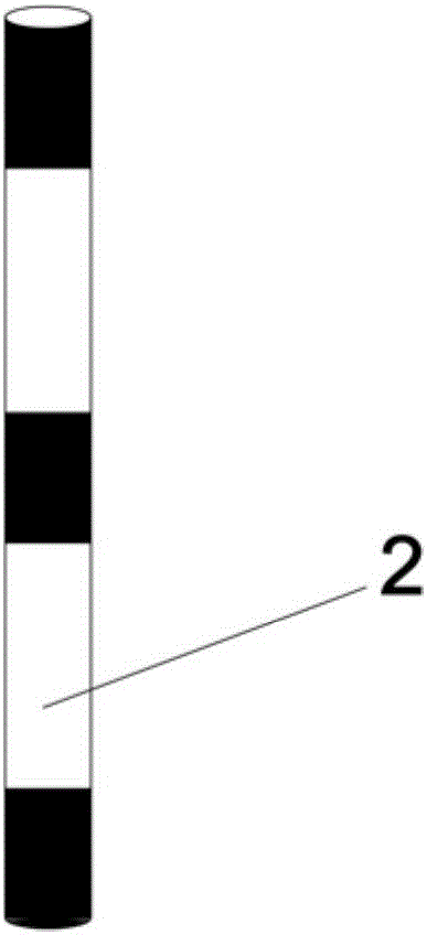 Multi-color pavement guidance system for circular intersections