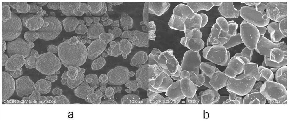 Monocrystal ternary positive electrode material, preparation method thereof and lithium ion battery