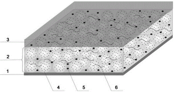 Negative electrode pole piece made of graphene hollow sphere loaded tin disulfide composite material and used for lithium-ion battery