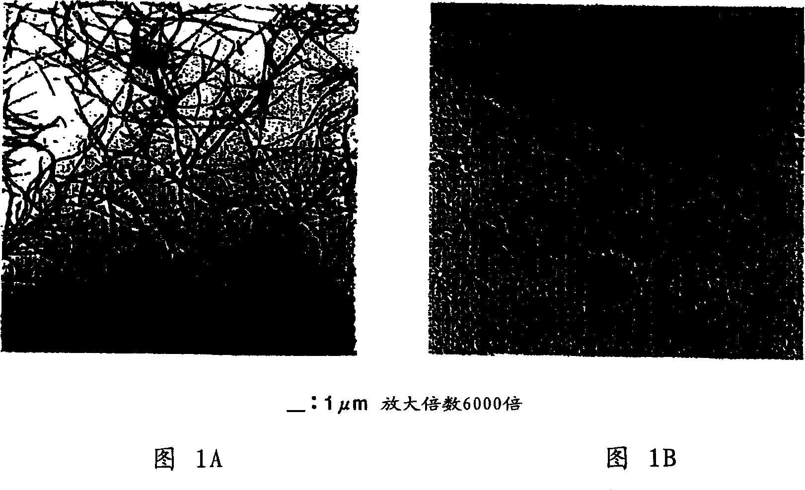 Lubricant composition and rolling unit