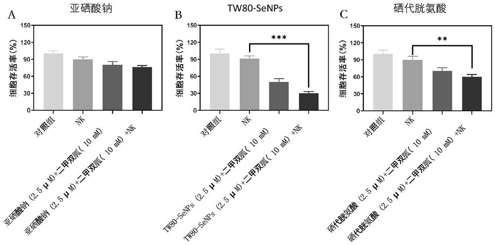 NK (Natural Killer) cell sensitizer prepared by combining functionalized nano-selenium with metformin and application of NK cell sensitizer