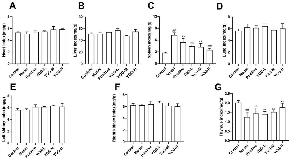 Application of medicine composition in preparation of medicine for treating inflammatory bowel disease