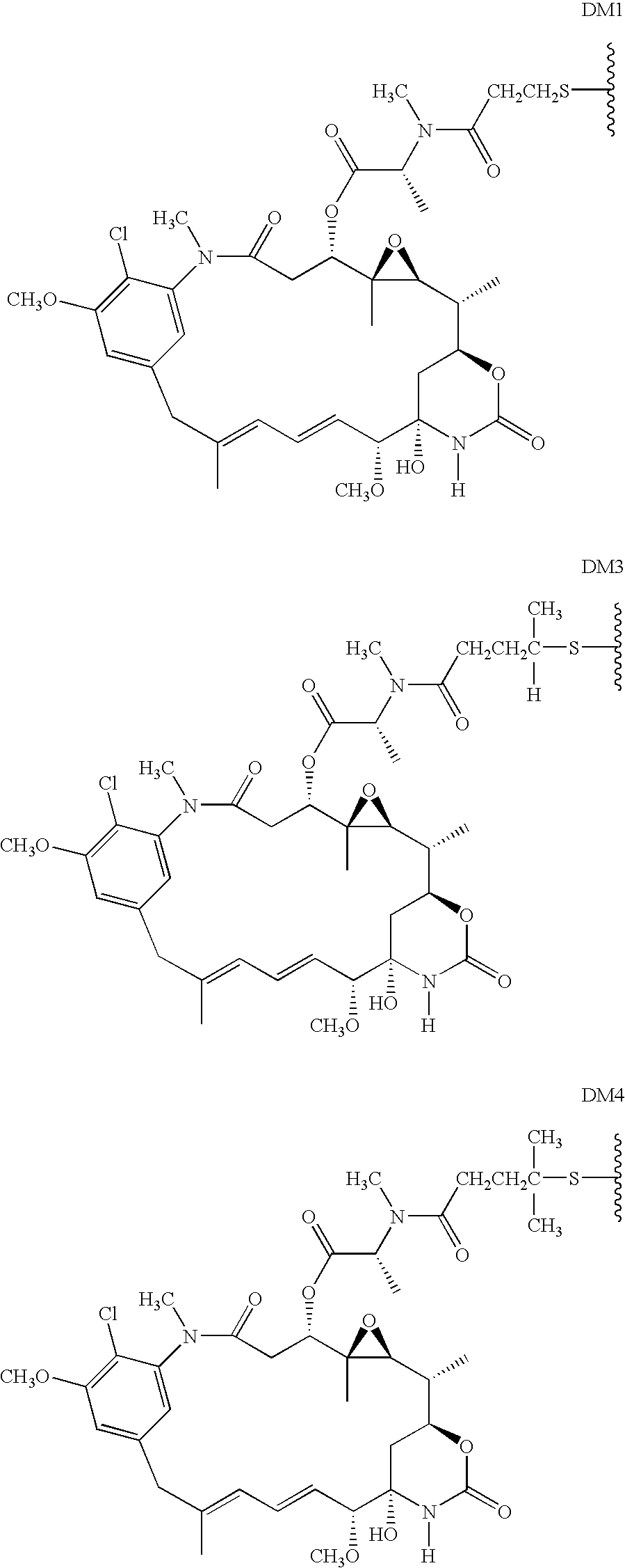 HERCEPTIN adjuvant therapy