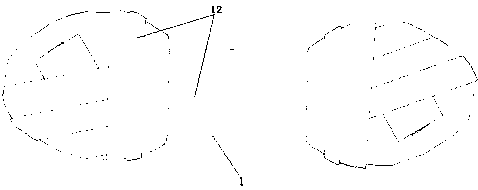 Pet dental care chews with high palatability and processing method thereof