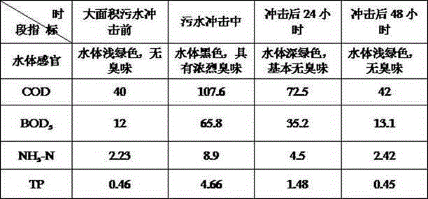 Reinforced black odorous river microecological reconstruction/balance and water quality improvement method