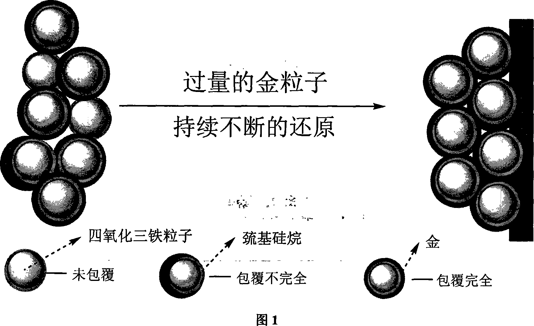 Fe3O4 Au magnetic deposition film preparation method