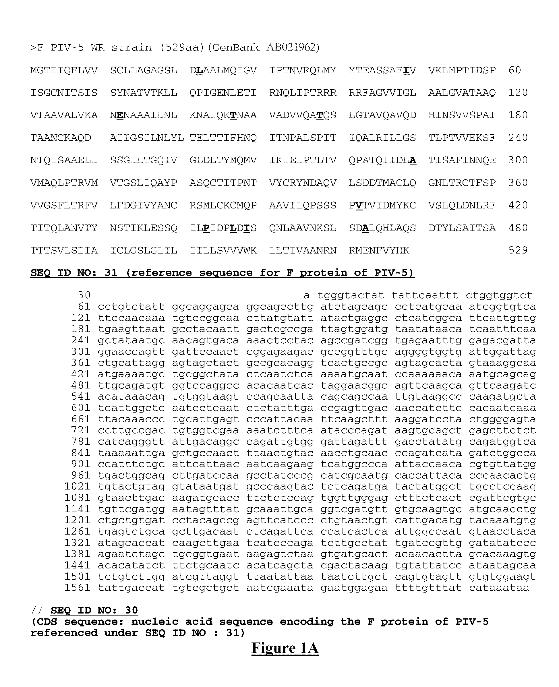 Mutant proteins of the F protein of PIV-5 and PIV-2