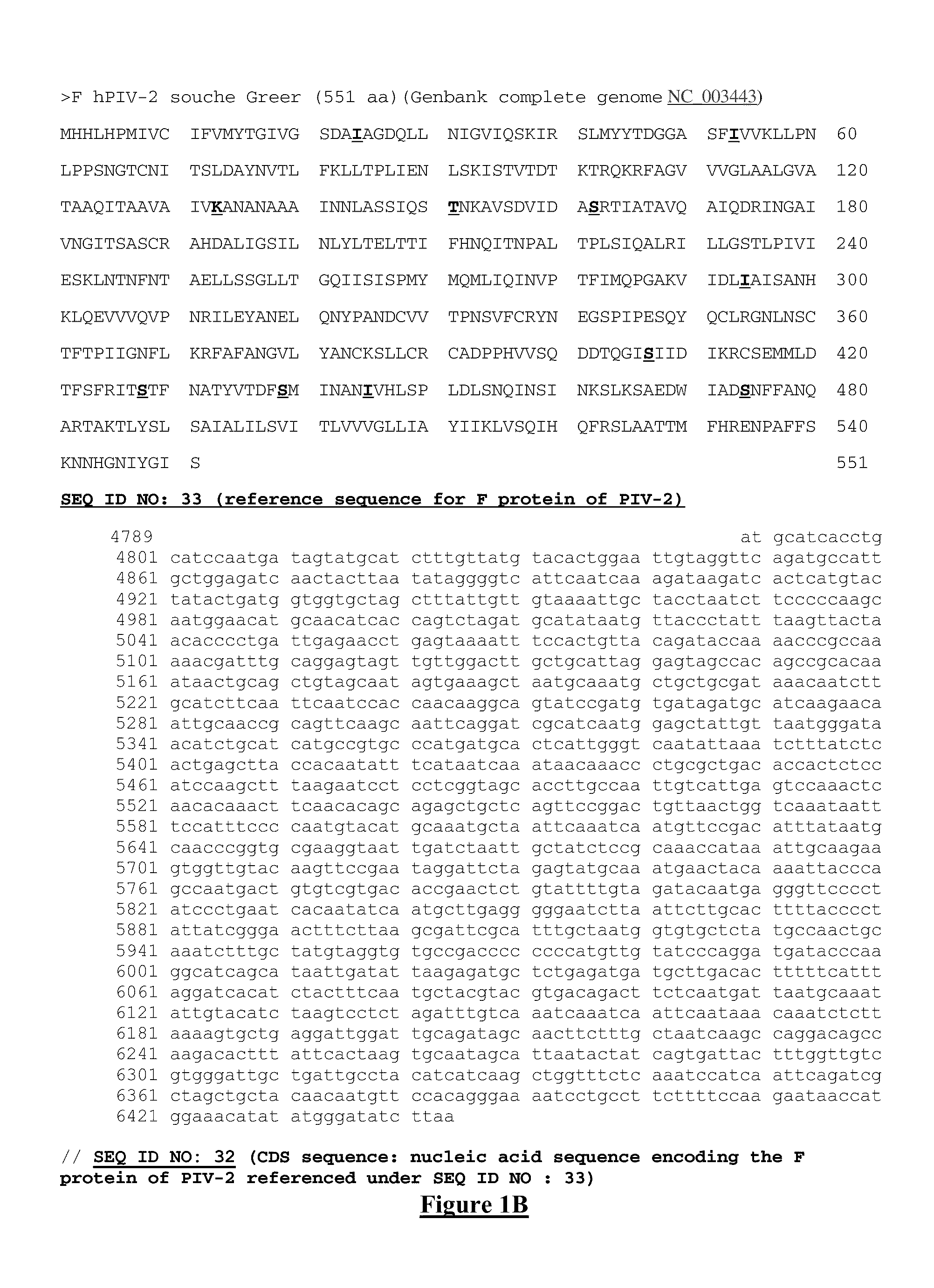 Mutant proteins of the F protein of PIV-5 and PIV-2