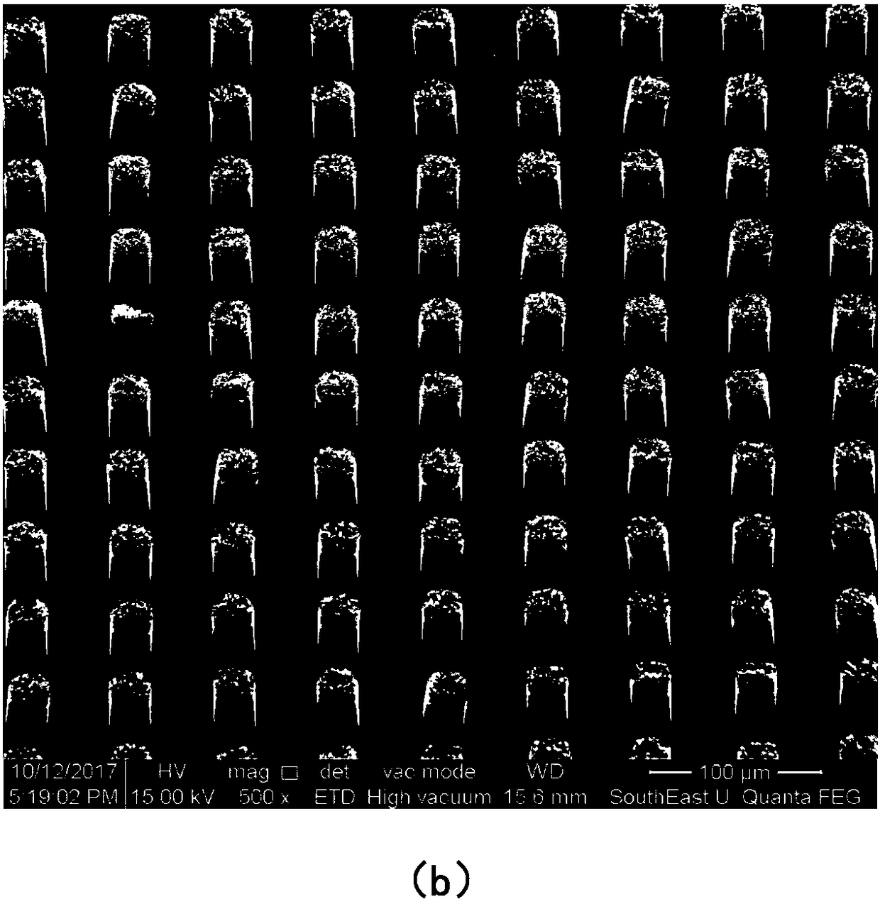 Photocathode based on novel nanostructure and preparation method thereof