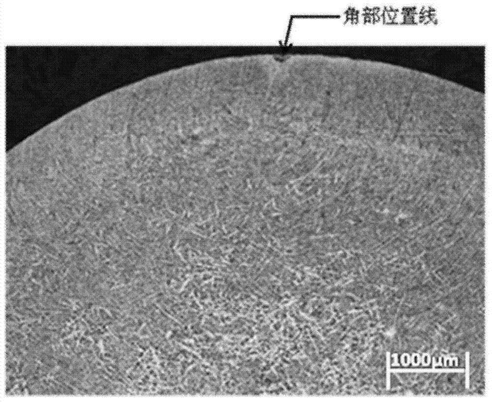 Aggressive agent for displaying solidification genetic dendritic structure in high-carbon steel plate strip and display method