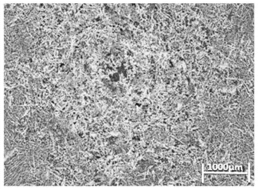 Aggressive agent for displaying solidification genetic dendritic structure in high-carbon steel plate strip and display method