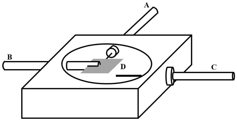 Body fluid detection method and system based on SERS