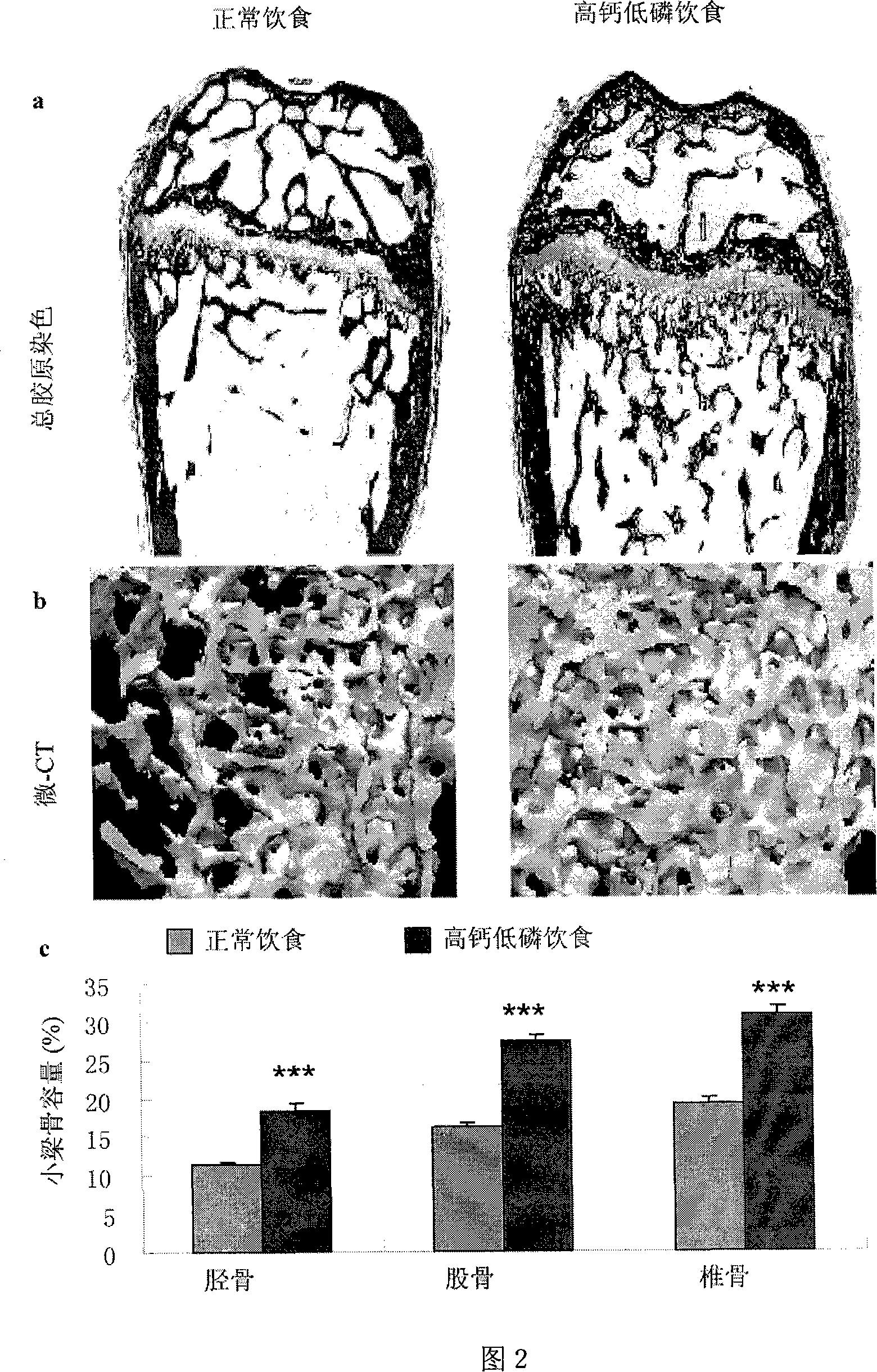 Calcium-phosphorus mixture and its use