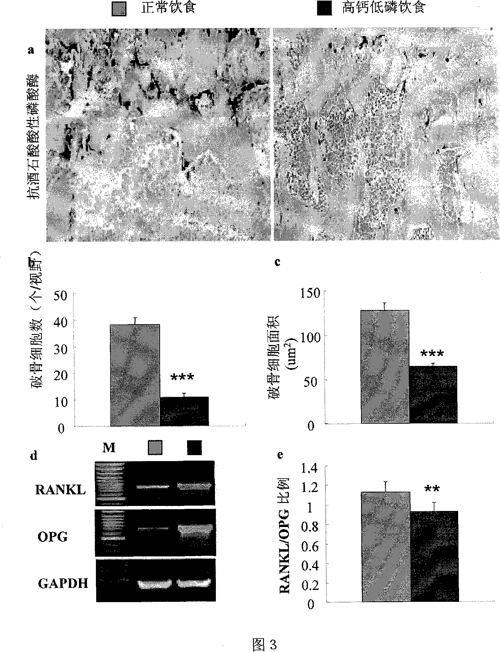 Calcium-phosphorus mixture and its use