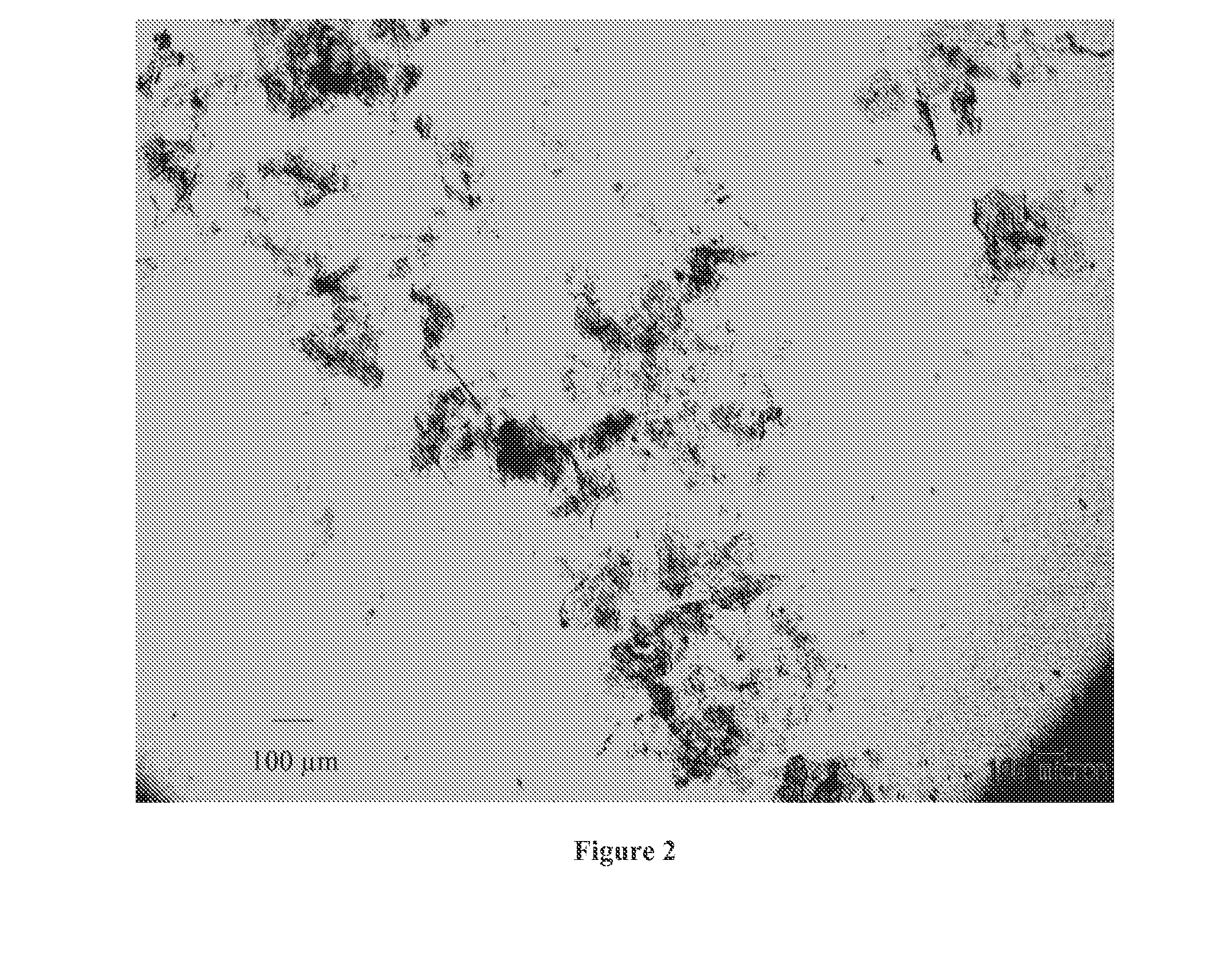 Ultra-pure agonists of guanylate cyclase c, method of making and using same