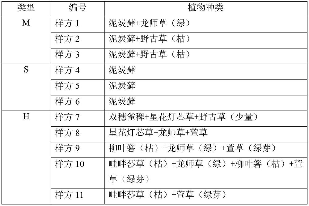 Method for determining carbon sequestration capacity of sphagnum marsh wetland