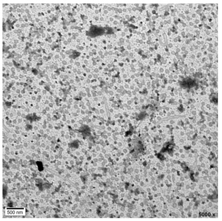 A release-controlled release nano-alcohol essence and its preparation method