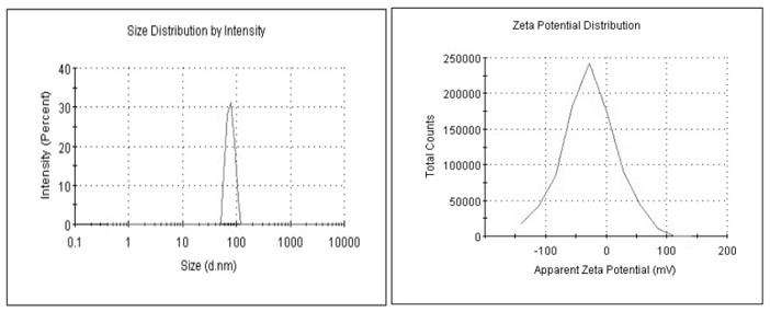 A release-controlled release nano-alcohol essence and its preparation method