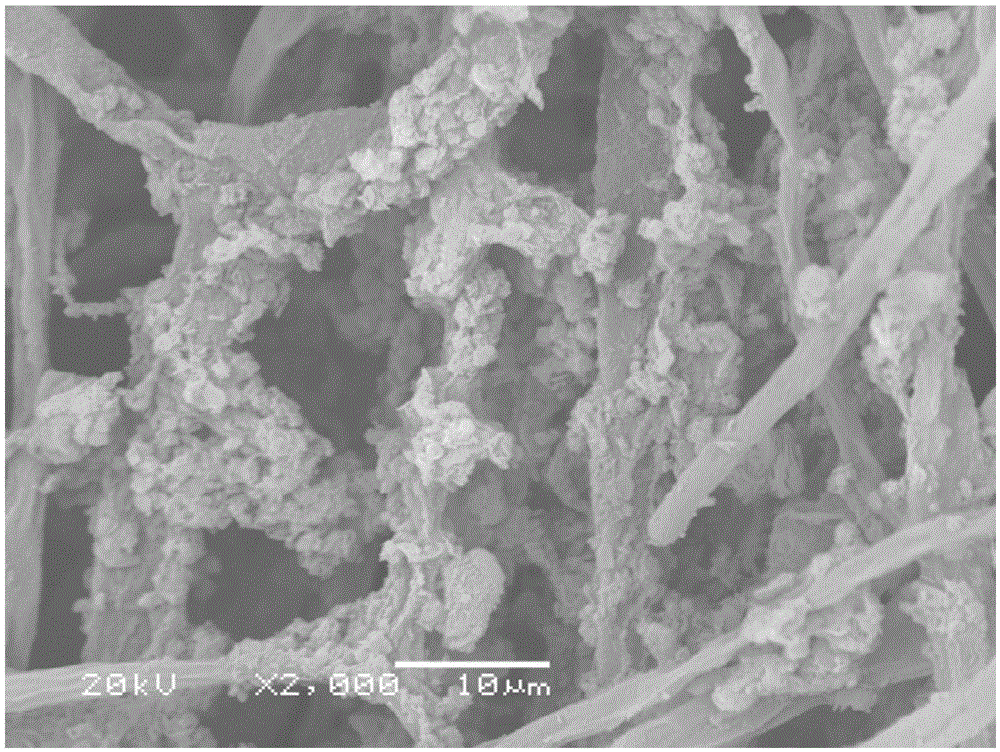 Phosphorus-based biochar material, and preparation and application thereof