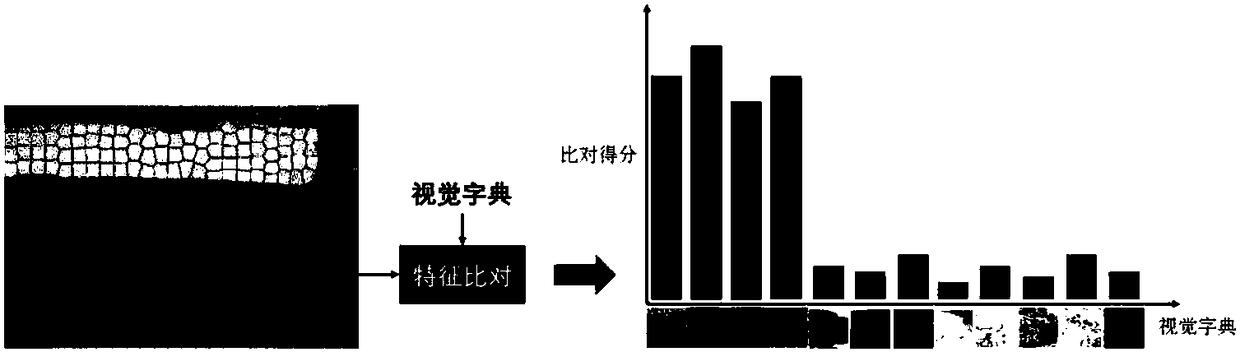 Outdoor scene classification method and system