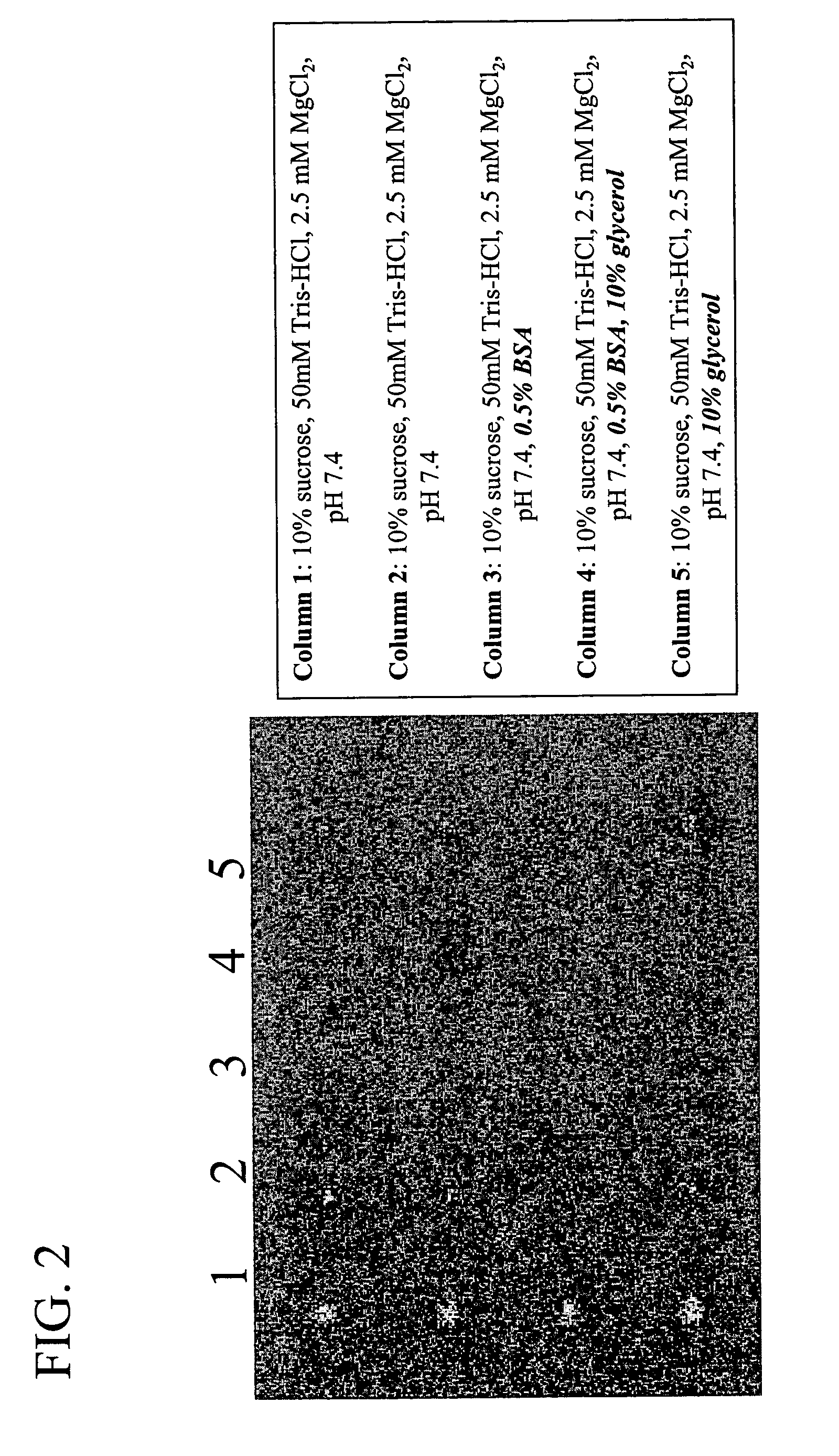 Compositions & methods for reformulating biological membranes for arrays