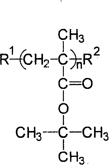 Preparation of polymethyl tert-butyl acrylate large molecular monomer by atom transfer radial