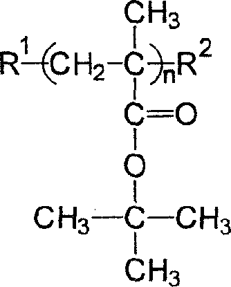 Preparation of polymethyl tert-butyl acrylate large molecular monomer by atom transfer radial