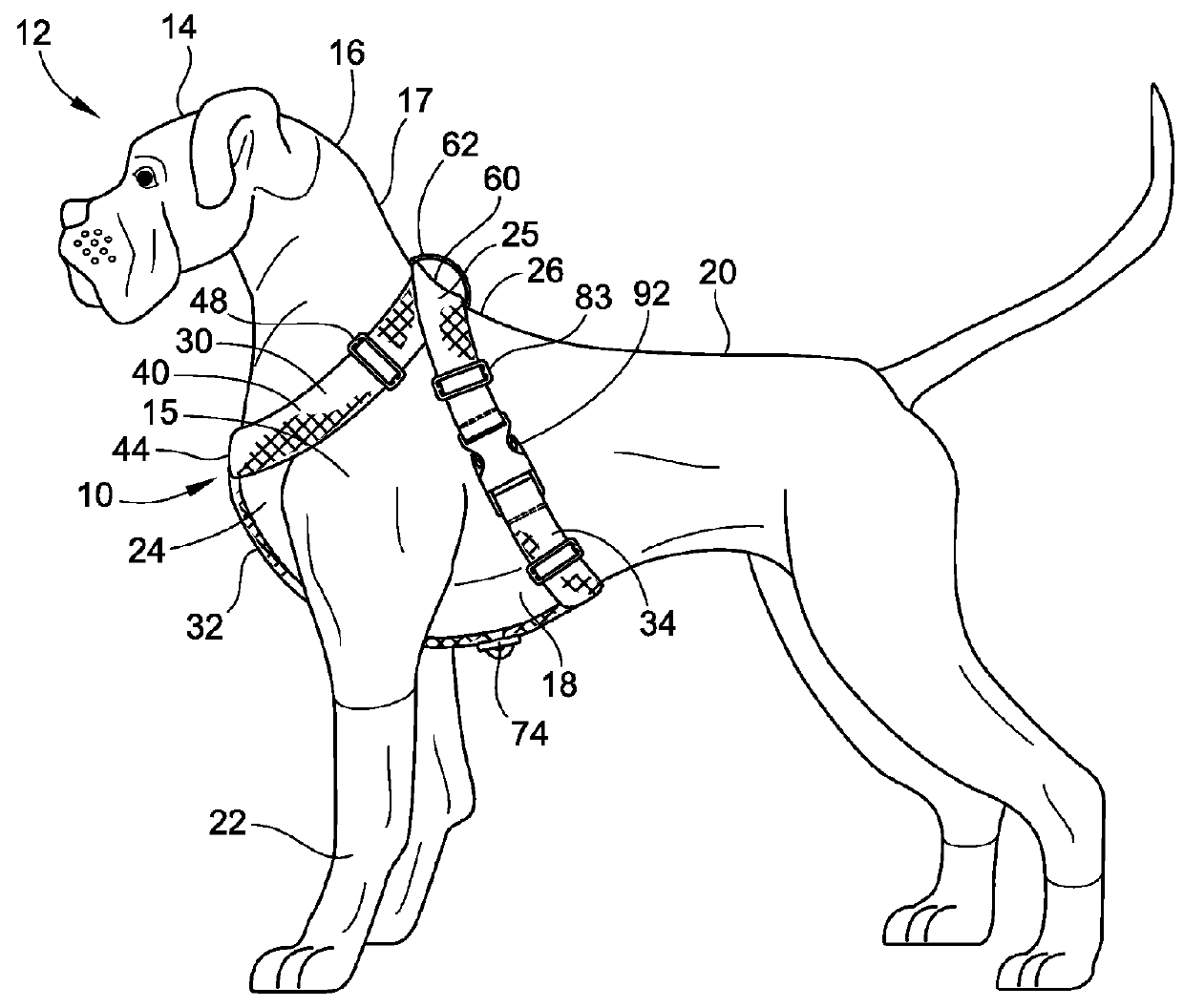 Pet calming harness and coat