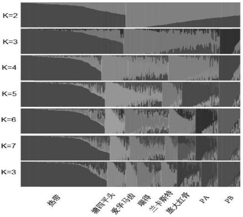 A dna chip and its application in maize variety identification and breeding