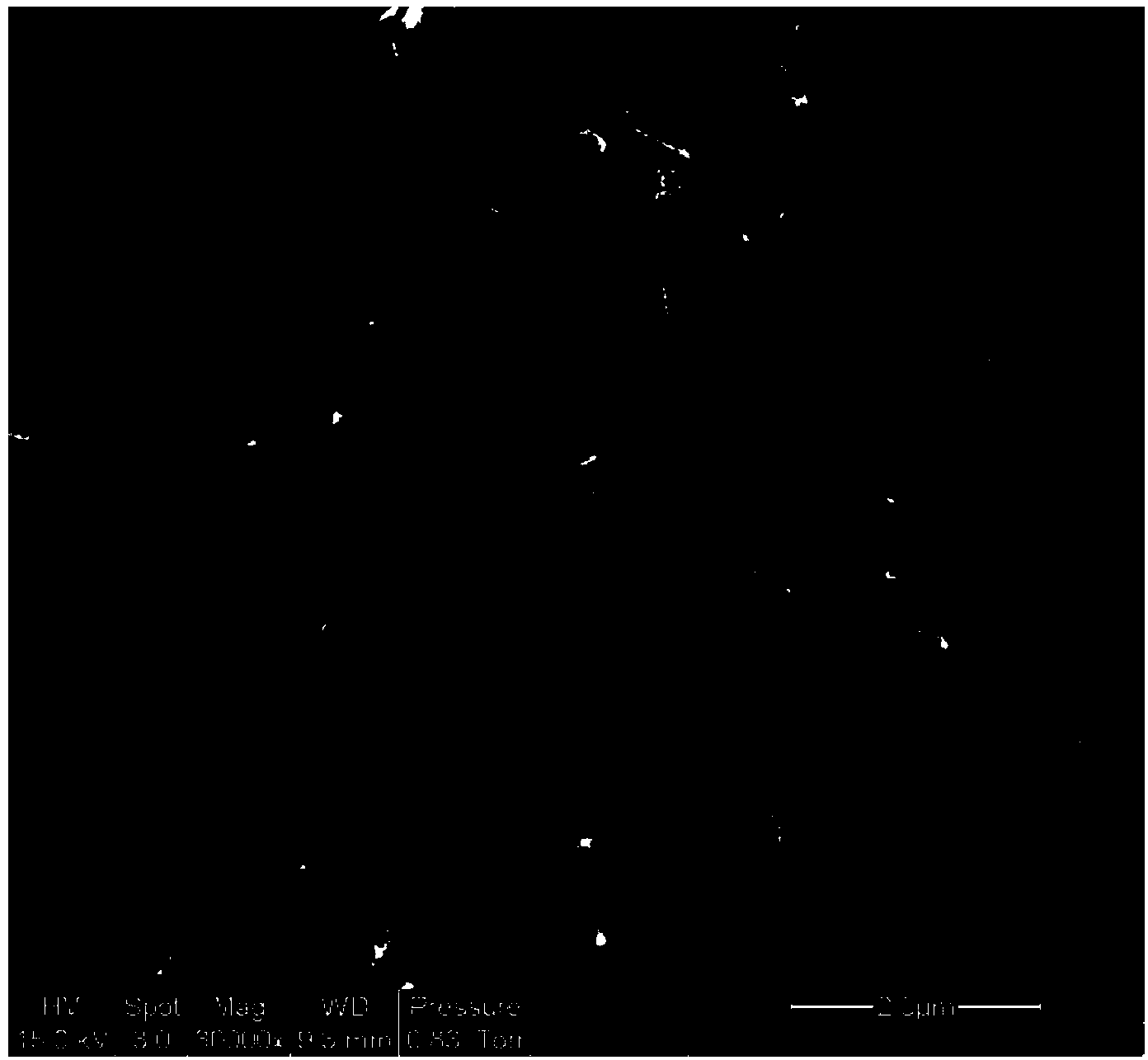 Bacterial cellulose biological patch and manufacturing method thereof