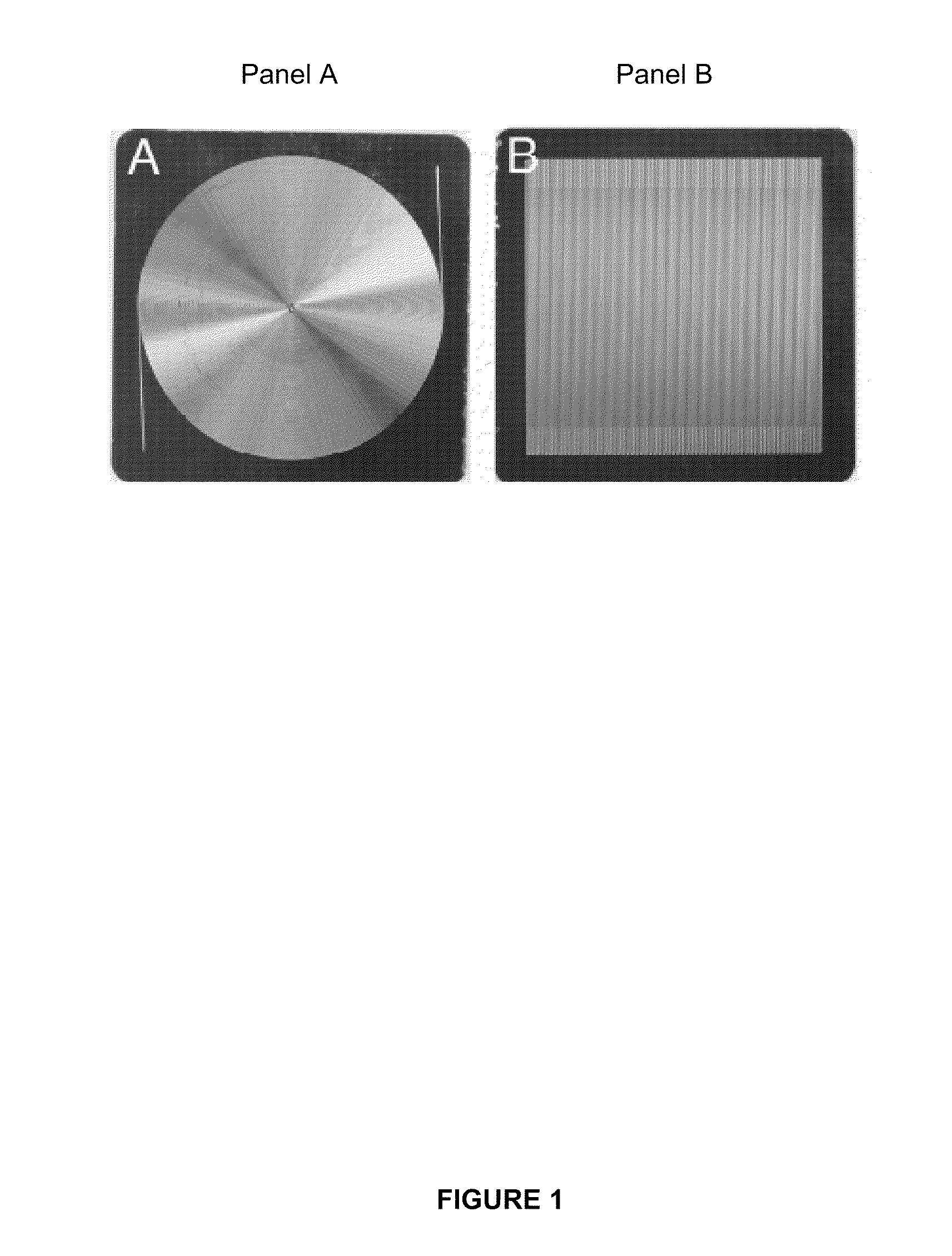 Column design for micro gas chromatograph