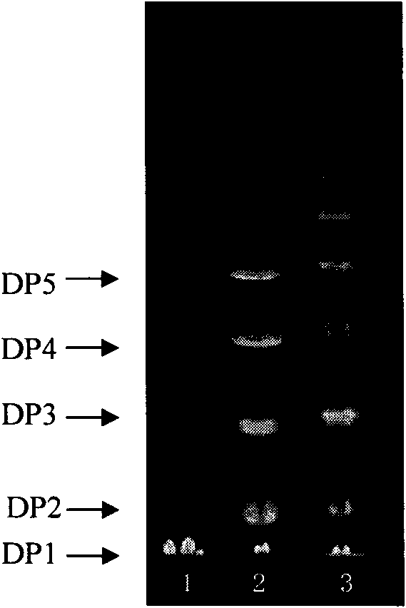 Method for preparing konjac mannan oligosaccharide